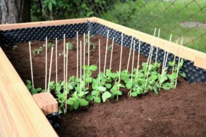 Gartenprojekt DIY Hochbeet
